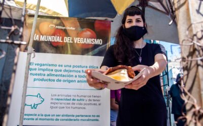 MILLION DOLLAR VEGAN